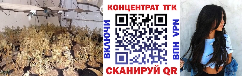 Дистиллят ТГК THC oil Пестово